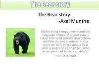 7the bear story 3 638