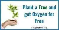 save trees slogans 3