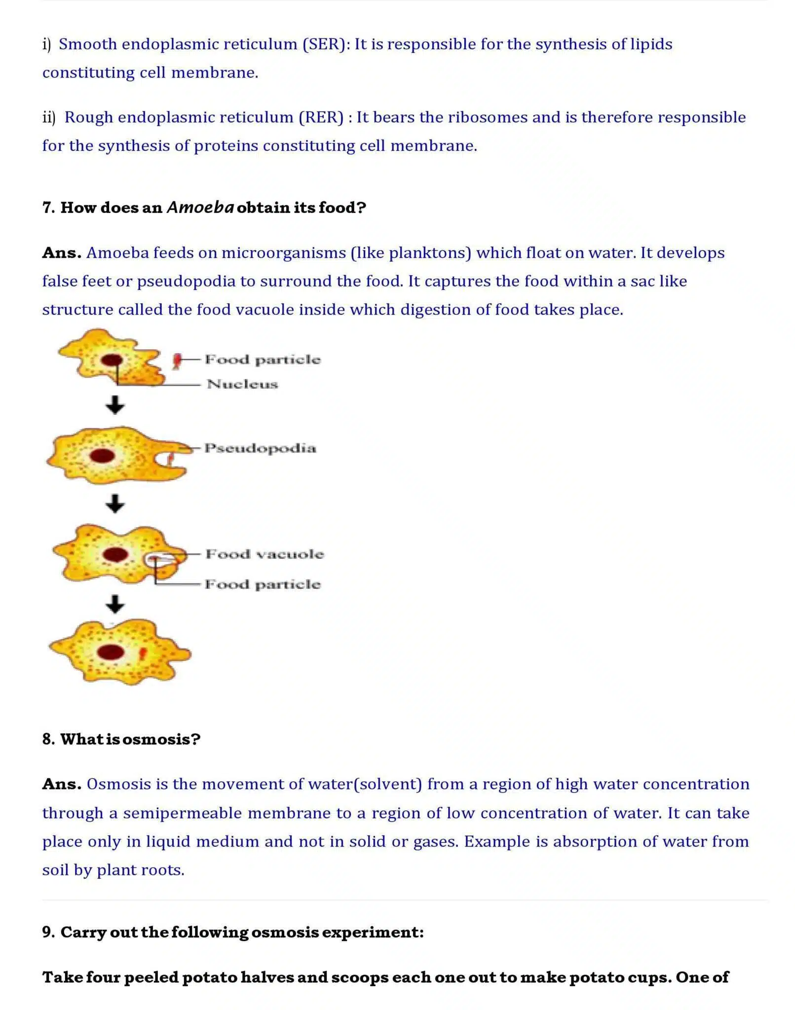 Ch 5 Science The Fundamental Unit of Life page 005