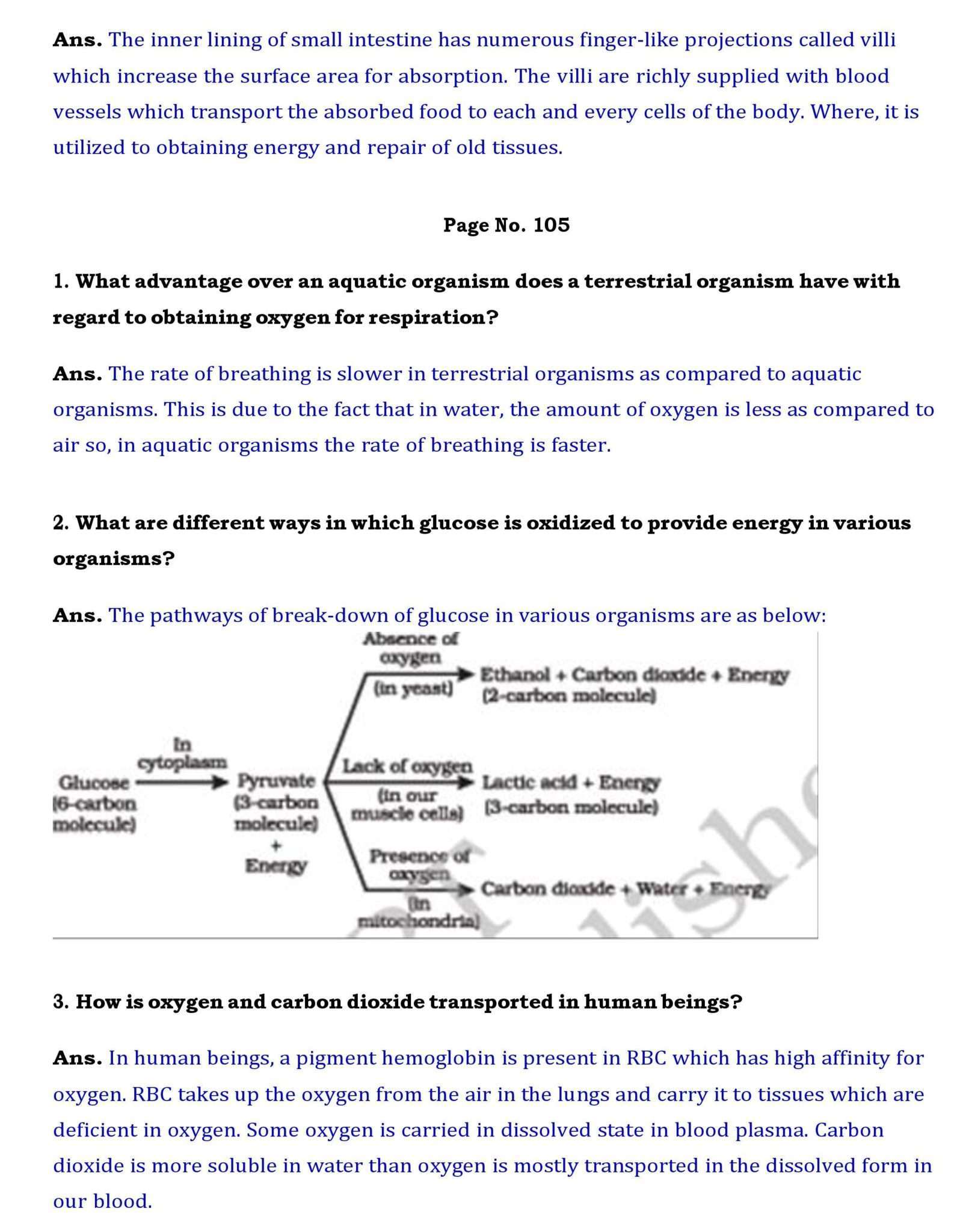 Ch 6 Science Life Processes page 003