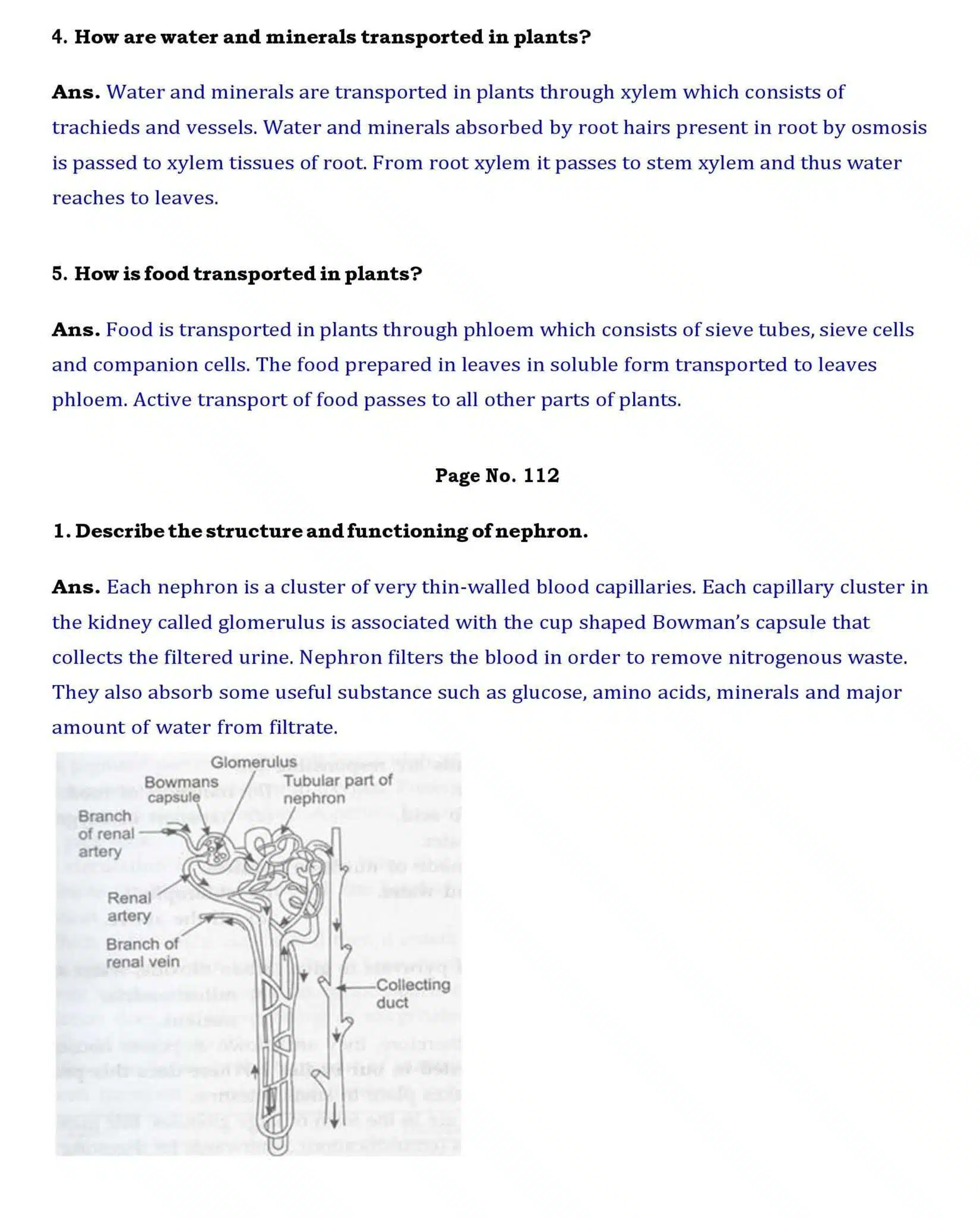 Ch 6 Science Life Processes page 005