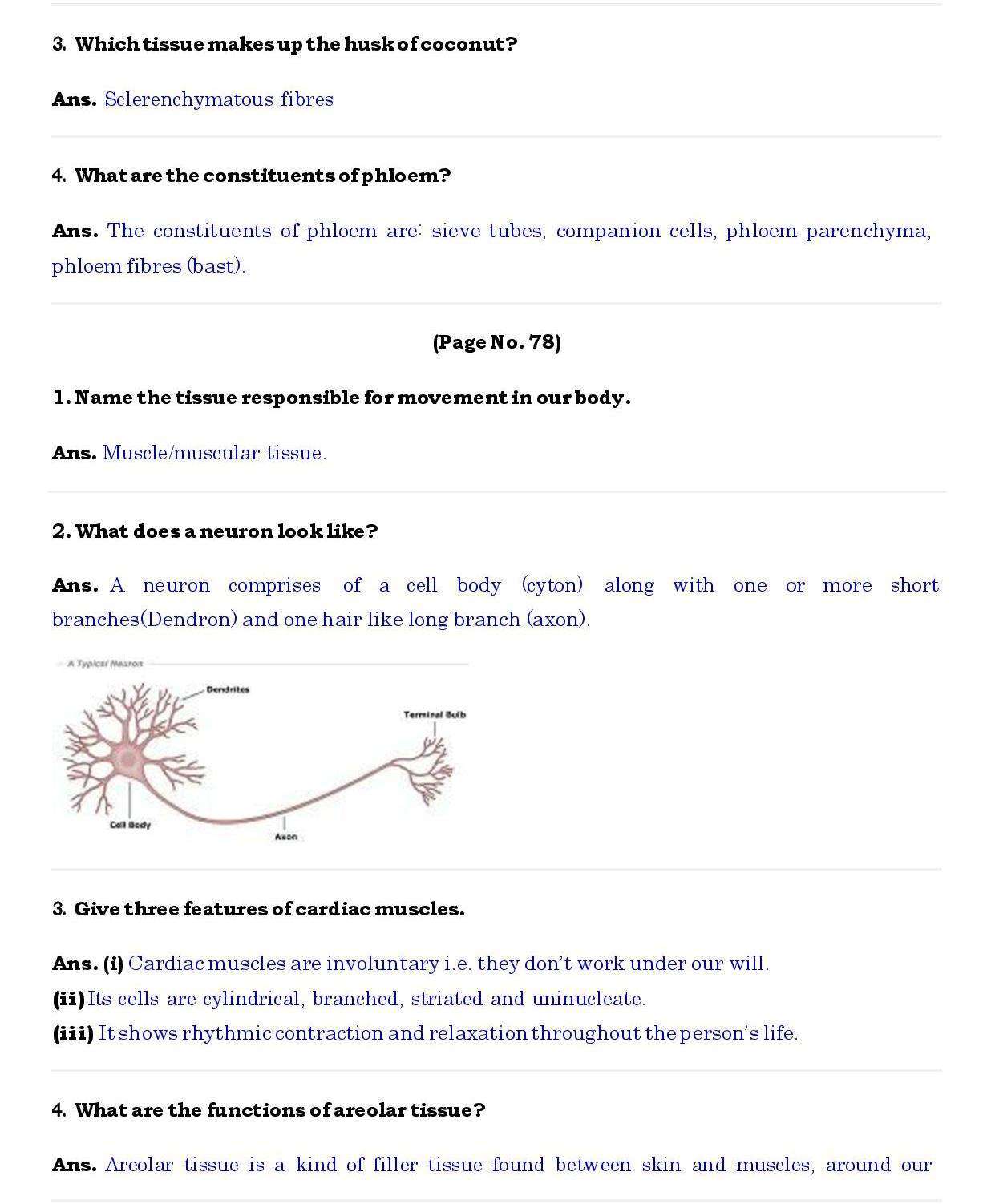 Ch 6 Science Tissues page 002