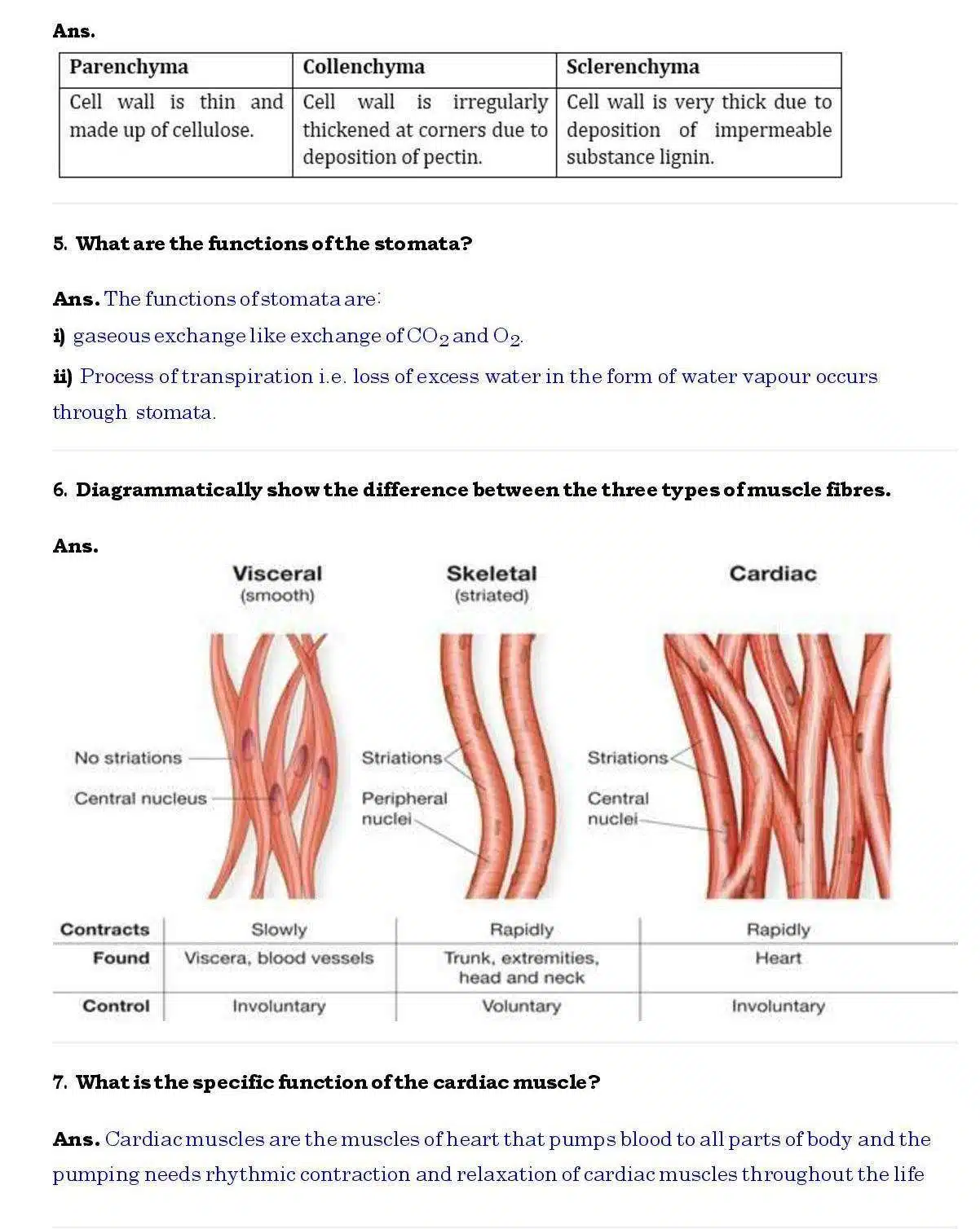 Ch 6 Science Tissues page 004