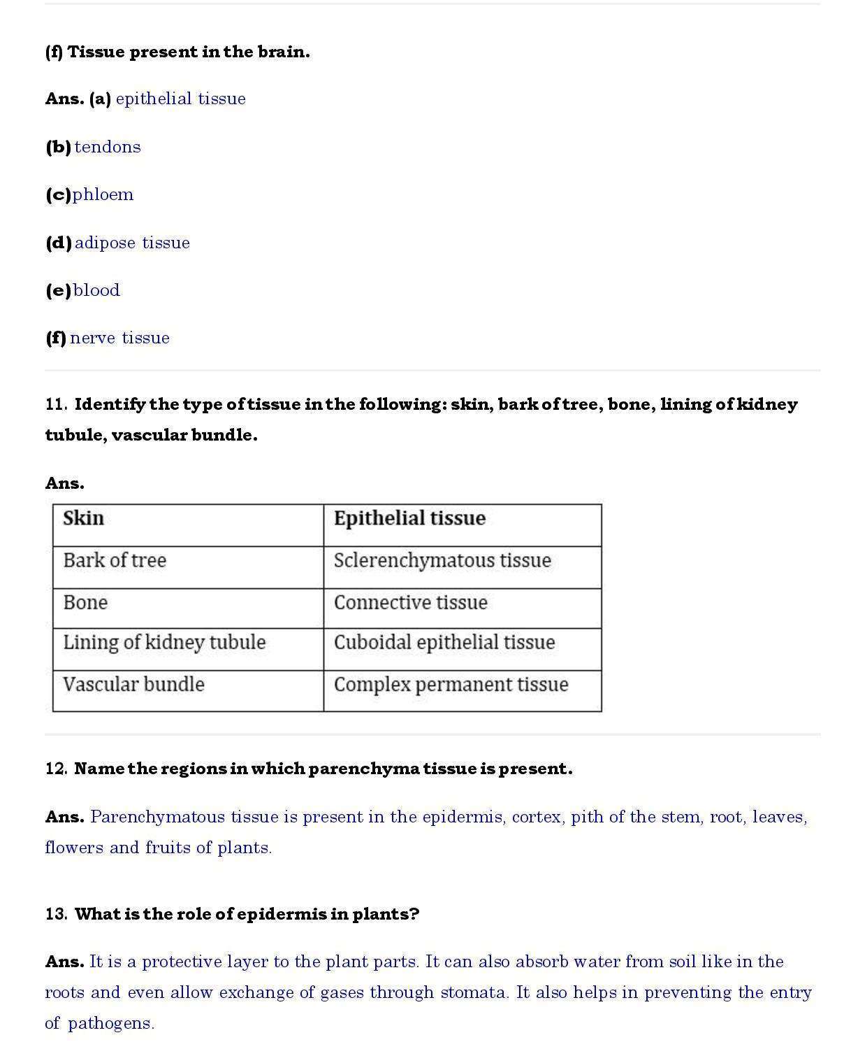 Ch 6 Science Tissues page 006