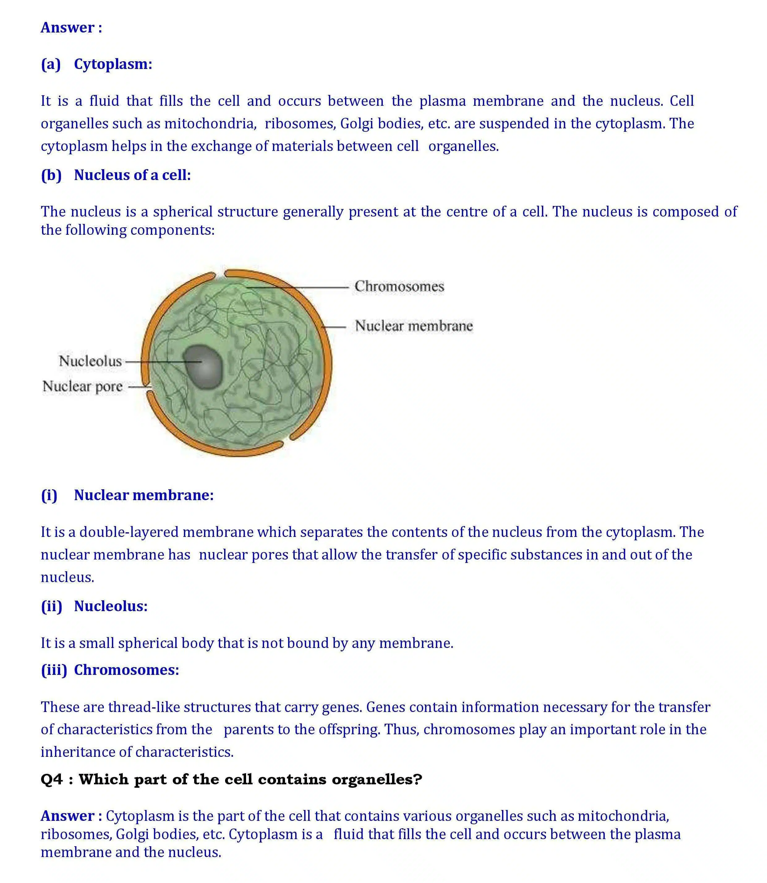 NCERT Solutions for Class 8 Science Chapter 8 page 002 scaled