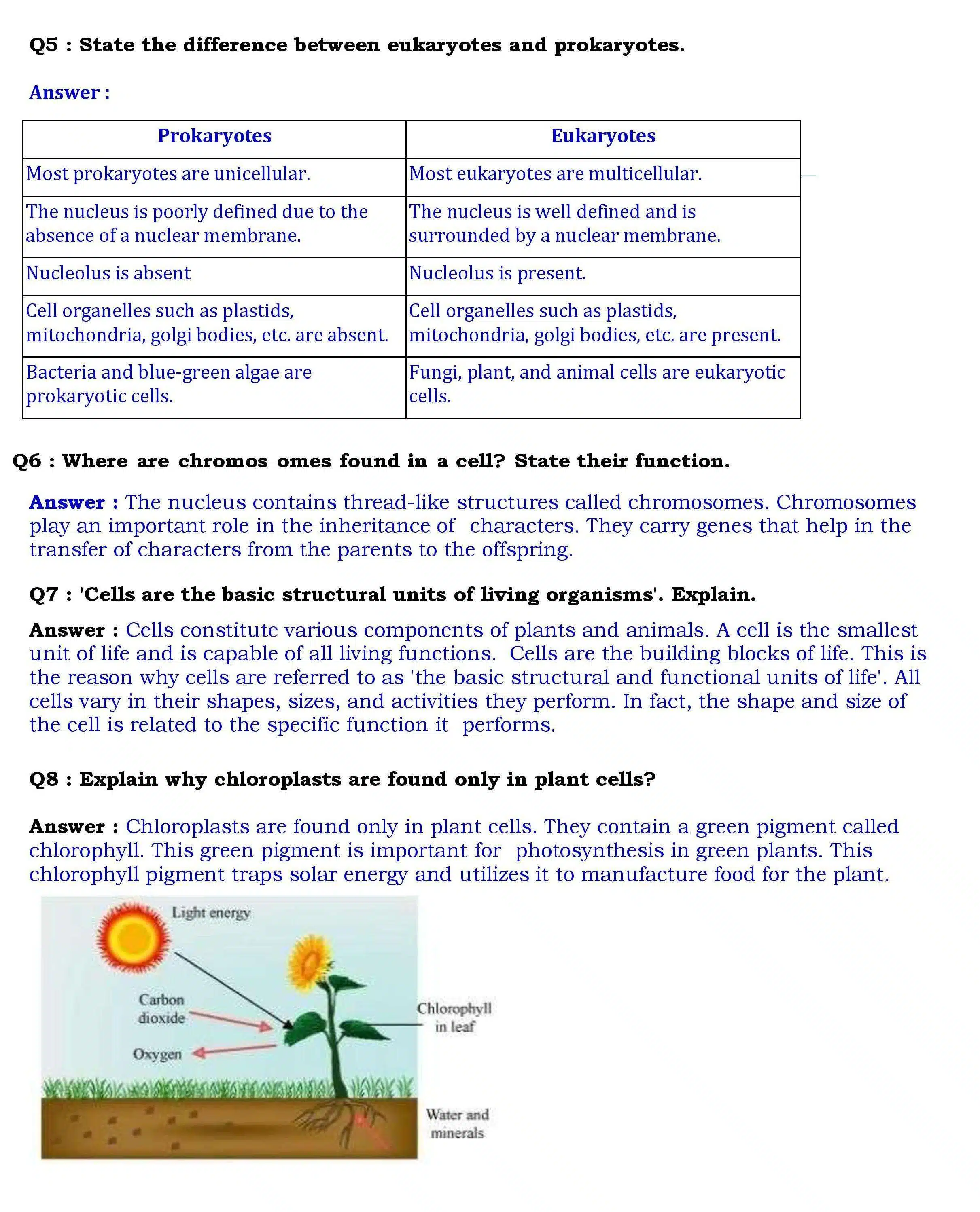 NCERT Solutions for Class 8 Science Chapter 8 page 003 scaled