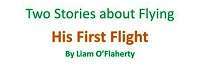 Two Stories About Flying Part 1 Extra Questions