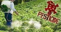 pesticide danger cancer edumantra.net