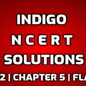 Indigo NCERT Solutions edumantra.net
