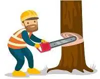 caucasian white woodcutter working with a chainsaw vector 20543685 edumantra.net