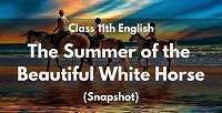 Chapter 1 The Summer Of The Beautiful White Horse Extra Questions And Ncert Solution