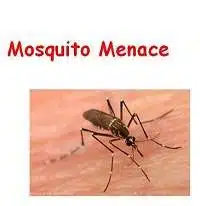 mosquito edumantra.net
