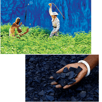 77 Reading Skills Comprehension Indigo Cultivation