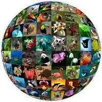 species globe edumantra.net