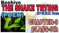The Snake Trying Summary in English