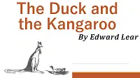 Theme of the Duck and The Kangaroo