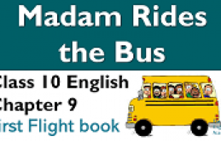 Madam Rides the Bus Question Answers | Very Important