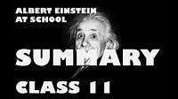 Albert Einstein Class 11 Summary