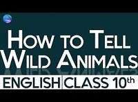 How to Tell Wild Animals- Value Points of the Poem