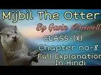 Mijbil the Otter Class 10 Summary in Hindi