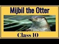 Character Sketch of Mijbil the Otter Class 10