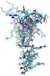 153. VIP Full-Form | What is Vasoactive Intestinal Peptide (VIP) 1 VIP Full Form | What is Vasoactive Intestinal Peptide (VIP)