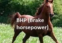 Brake Horse Power (BHP)
