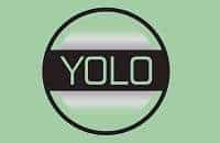 YOLO Full-Form | What is You Only Live Once (YOLO)