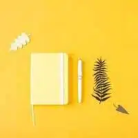 yellow minimalistic notepad entries yellow background 79087 1178