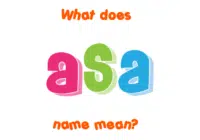 ASA Full-Form | What is As Soon As (ASA)