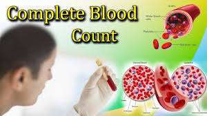 CBC Full-Form | What is Complete Blood Count (CBC)