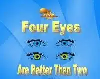Four eyes see more than two meaning in English