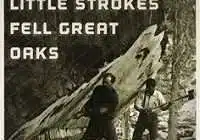 Little strokes fell great oaks meaning in English