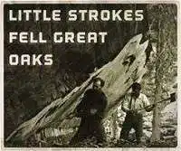 Little strokes fell great oaks meaning in English