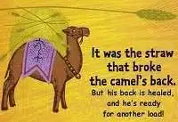It is the last straw that breaks the camel's back
