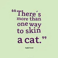 There is more than one way to skin a cat