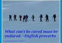 What can't be cured must be endured