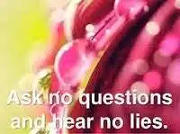 Ask no questions and hear no lies