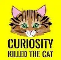 Curiosity killed the cat meaning in English