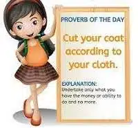 Cut your coat according to your cloth meaning in English