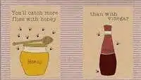 Honey catches more flies than vinegar