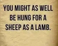 One might as well be hanged for a sheep as a lamb