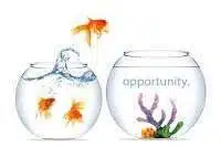 Opportunity never knocks twice meaning in English