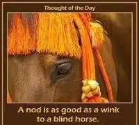 A nod is as good as a wink to a blind horse