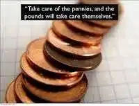 Take care of the pence and the pounds will take care of themselves meaning in English