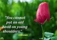 You cannot put an old head on young shoulders