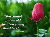 You cannot put an old head on young shoulders