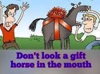 Never look a gift horse in the mouth meaning in English