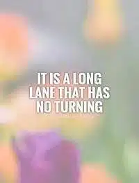 It's a long lane that has no turning meaning in English