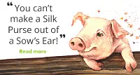 You can't make a silk purse out of a sow's ear